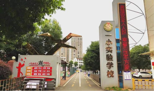 2024年东安县城区中小学秋季入学须知