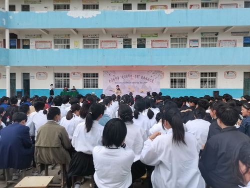 新马桥中学举行 我们的节日 清明 经典诵读比赛