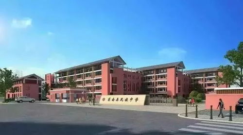 苍南新区有哪些 好 学校,你知道吗