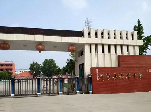 焦作兴华中学踩踏事件曝光 原因与伤亡数据引人警醒