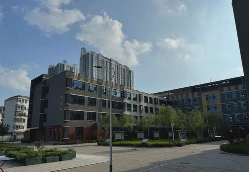 向东布局，与北京同城化 优质资源辐射北三县与固镇县私立谷阳中学